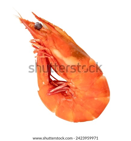 Red cooked or steamed prawn or shrimp is isolated on white background with clipping path.