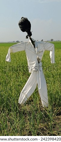 Clothes made Cartoon(Putla) in Agricultural Field.