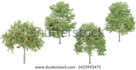 Alder,Apple trees and shrubs in summer isolated on white background. Forestscape. High quality clipping mask. Forest and green foliage