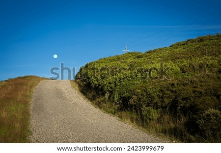 Beautiful simple picture of curved road, bushes and setting moon in blue sky. 