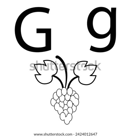 Letter G for grapes, Vector illustration of kids alphabet coloring book page with outlined clip art 