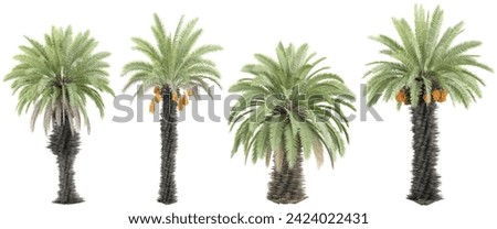 Date palm trees and shrubs in summer isolated on white background. Forestscape. High quality clipping mask. Forest and green foliage