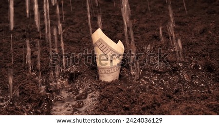 The farmer planted a hundred dollar bill in the ground and watered it to generate income. Growing money in the ground involves investing in farming and getting a hike. Investing money in agriculture. Royalty-Free Stock Photo #2424036129