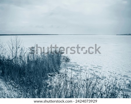   On the big river. Winter landscape in cold blue colors.                             