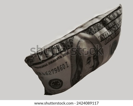 Pillow doll with money motif isolated on gray background