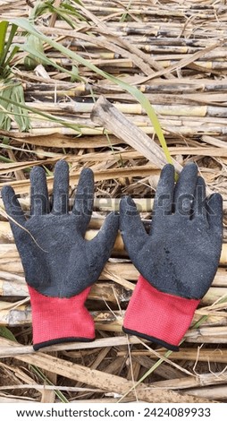 Picture of rubber gloves placed on sugarcane bran that sugarcane workers wear to work to protect from danger from sugarcane leaves.