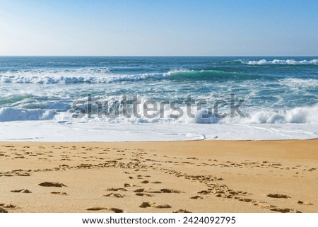 Beautiful ocean waves on a golden sand beach. Alone with nature