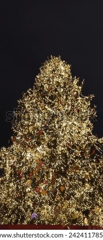 The awesome light picture of cristmass tree.