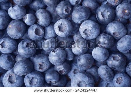 Close up photograph of fresh blueberries. Blueberries are a nutritious, delicious food. Healthy organic eating concept. Anthocyanin gives blueberries  blue colour and health benefits. Background.  Royalty-Free Stock Photo #2424124447