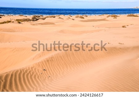 Sand Dune Desert in Maspalomas Gran Canaria Island Spain