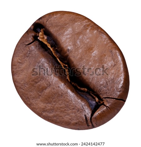 Premium Single Coffee Bean Isolated on White Background - High-Quality Stock Photo for Coffee, Beverage, and Food Projects