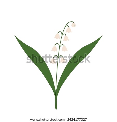 Lily of the valley. Blooming forest plant. Small white spring flowers with leaves. Flat vector illustration isolated on white background.