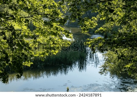 A view of the river on a summer evening through a curtain of maple branches and leaves illuminated by the evening sun. An atmosphere of naturalness and a bit of mysteriousness.