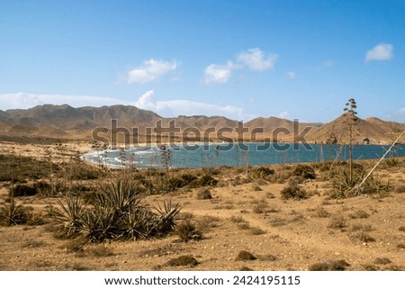 Panoramic view of Los Genoveses beach, Almeria, Andalusia, Spain. Photograph from a hill on the south side of the beach. Mediterranean Sea in Cabo de Gata. Royalty-Free Stock Photo #2424195115