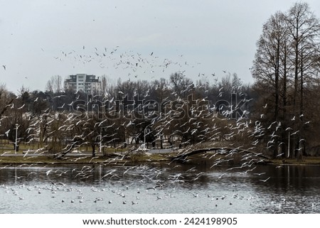 Tineretului park from Bucharest, winter day, Romania. Royalty-Free Stock Photo #2424198905