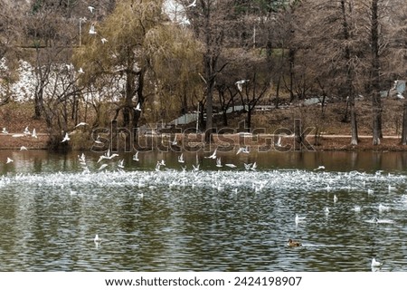 Tineretului park from Bucharest, winter day, Romania. Royalty-Free Stock Photo #2424198907