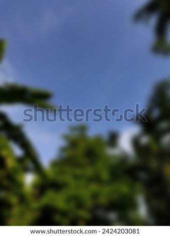  Blurry landscape of tropical forest with blue sky. The foreground is filled with green trees. The background is a clear blue sky with some white clouds