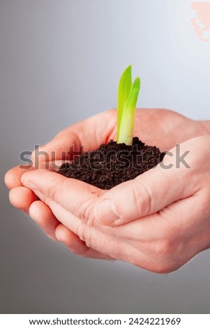 Close up man hold a small sprout and an earth handful. Vertical image.