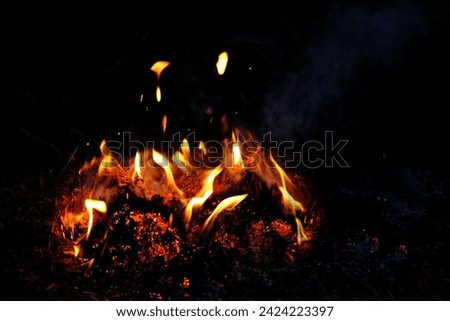 wildfire, rural fire, burning conflagration, burning ash, setting, charred dry grass in forest, acrid gray smoke, uncontrolled fire in area combustible vegetation, harming nature, spontaneous spread Royalty-Free Stock Photo #2424223397
