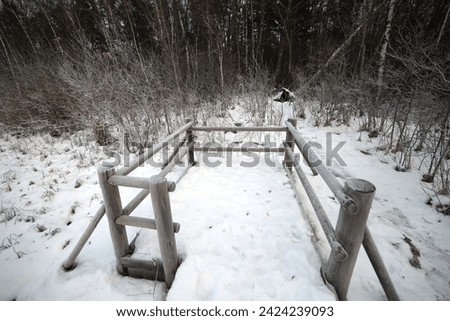 wooden boardwalk in the swamp for tourist walks