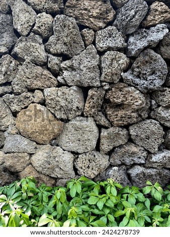 Basalt stone wall with grass at the bottom Royalty-Free Stock Photo #2424278739