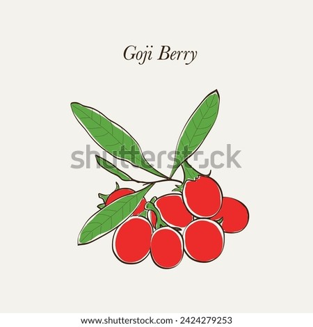 Goji, goji berry, or wolfberry is the sweet fruit of either Lycium barbarum or Lycium chinense. Hand drawn berries vector illustration EPS 10. Royalty-Free Stock Photo #2424279253