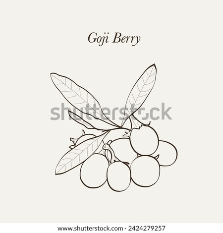 Goji, goji berry, or wolfberry is the sweet fruit of either Lycium barbarum or Lycium chinense. Hand drawn berries vector illustration EPS 10. Royalty-Free Stock Photo #2424279257