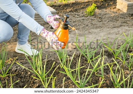 Spring processing of vegetable crops, onions and garlic, spraying, protection from diseases and insects.  The concept of spring work in the garden.  A woman holds an orange sprinkler in her hands.