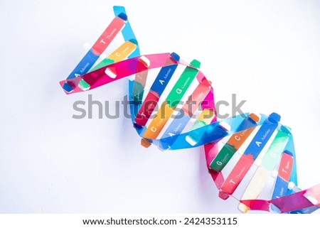 DNA or Deoxyribonucleic acid is a double helix chains structure formed by base pairs attached to a sugar phosphate backbone. Royalty-Free Stock Photo #2424353115
