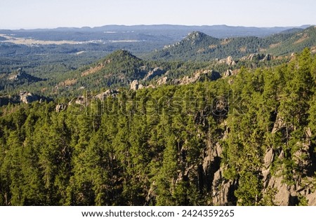 Rugged Overlook at the Black Hills in South Dakota, USA