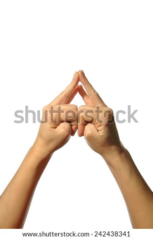 mudra hands poses on white background
