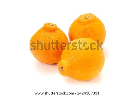 Japanese citrus Shiranui orange on white background