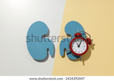 Kidneys on a light background, for National Kidney Month.