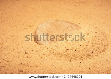 Fine sand on the seashore is an abstract background. Use for creative work in design. Photography overlays- clip art