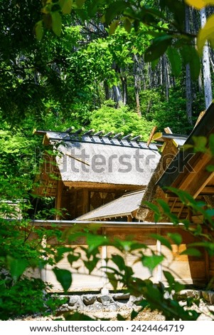 Beautiful early summer scenery of fresh greenery inside the precincts of Himukai Daijingu Shrine