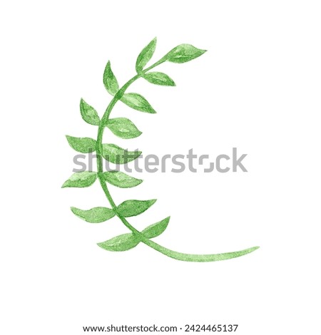 Weaving ivy branch with leaves on a white background. Floral illustrations for invitations, cards, design.