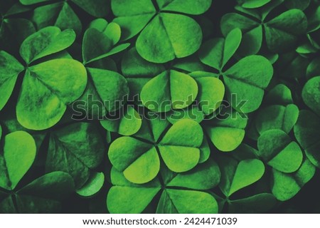 Background with green clover leaves for Saint Patrick's day. Abstract background for design with a shamrock. Vintage film aesthetic.