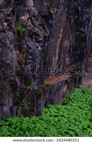 Photo of the rocks covered by grass in the rainy weather 
