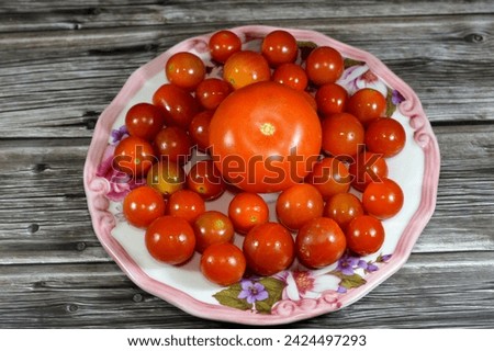 Tomato and cherry tomatoes, cherry tomato is a type of small round tomato believed to be an intermediate genetic admixture between wild currant-type tomatoes and domesticated garden tomatoes Royalty-Free Stock Photo #2424497293