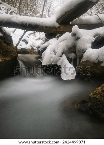 An icicle on a branch hangs above the water in a beautiful mountain stream