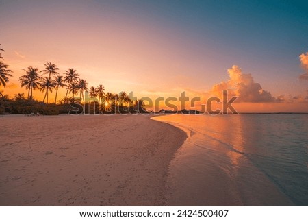 Tropical sea beach colorful sky sand sunset light sunrays. Relaxing landscape, horizon palm trees calm water. Romantic couple travel seaside tourism. Exotic shore coast nature. Tranquil summer island Royalty-Free Stock Photo #2424500407