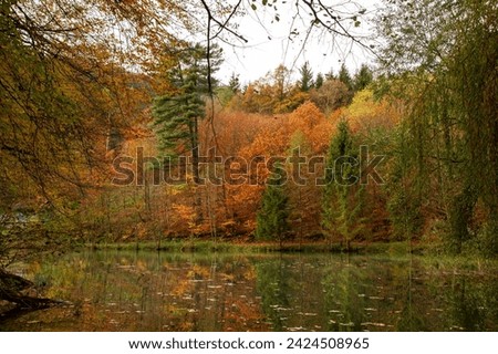 This photo shows a beautiful autumn landscape. The forest surrounding the lake is dressed in the bright colors of autumn. The leaves on the trees are all shades of yellow, orange, red, and brown. The 
