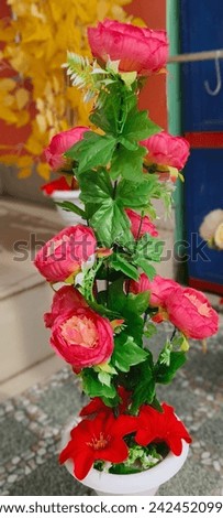 The beautiful red rose flower with green leaves 