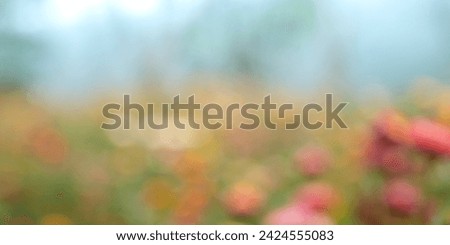 spring background with Beautiful floral spring abstract background of nature. 