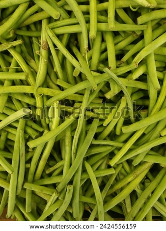 Long green bean vegetable stock 