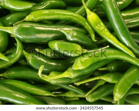 Long green chilli vegetable stock 