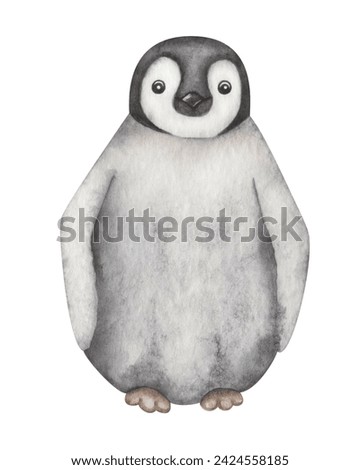 Watercolor illustration. Hand painted baby penguin. Little nestling. Flightless marine bird with black and white plumage. South Pole bird in Antarctic Ocean. Emperor Penguin. Isolated cartoon clip art