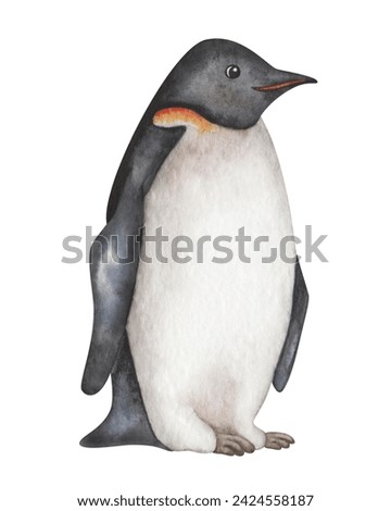 Watercolor illustration. Hand painted penguin. Flightless marine bird with black and white plumage, feathers, flippers. South Pole bird in Antarctic Ocean. Emperor Penguin. Isolated cartoon clip art