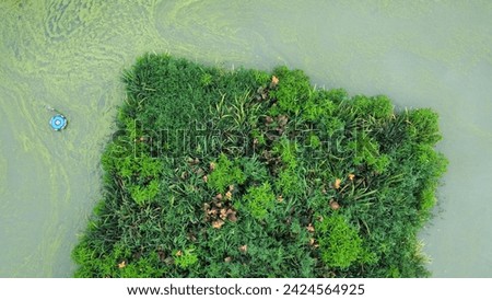 Bird's eye view of small green garden in the river
