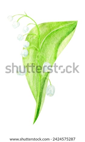 A set of watercolor lilies of the valley, a hand-drawn illustration of spring flowers highlighted on a white background.